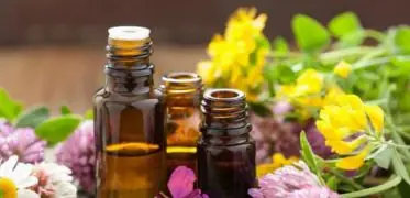 Amber glass bottles of herbal extracts and essential oils surrounded by fresh medicinal flowers and plants