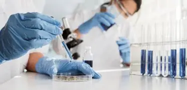 Medical researcher conducting laboratory testing with test tubes, microscope, and petri dish for scientific analysis